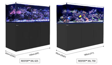 Red Sea Reefer 625 XXL Marine Aquarium White - Amazing Amazon
